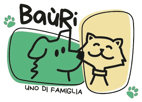 Baùri – torna all'inizio